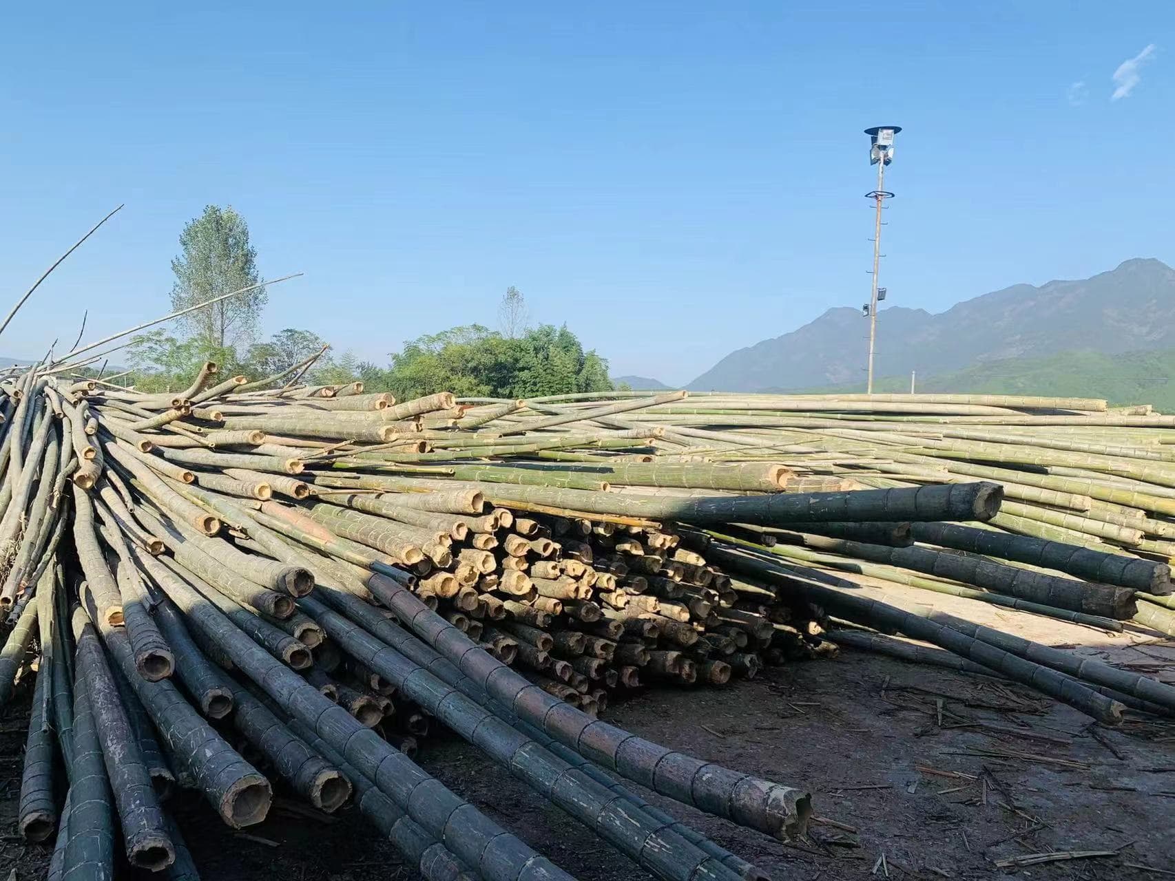 六角形机制木炭 六角形机制木炭